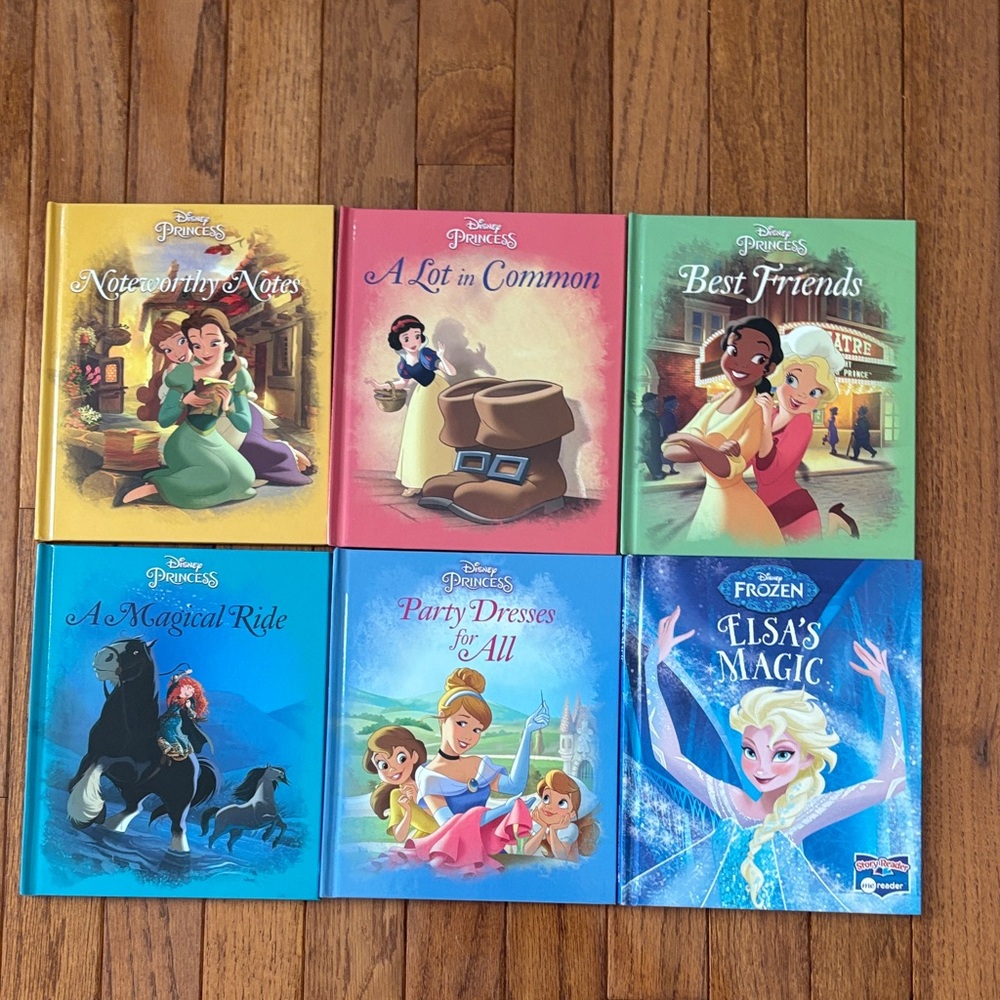 Disney Princess and Frozen Storybook Set